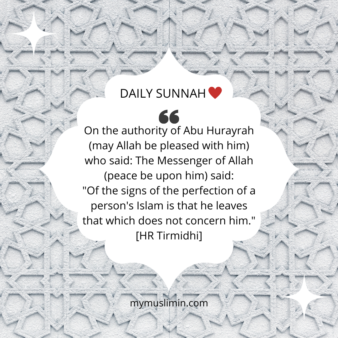 Daily Sunnah – Leaving that Which Does Not Concern One